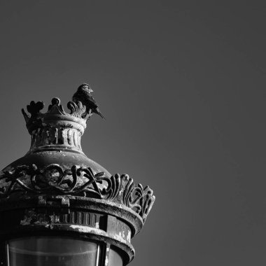 Ve sokak lambasında önemsiz şeyler.