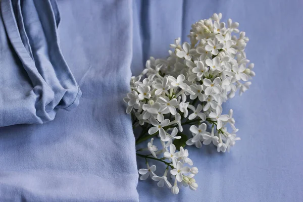 White lilac on the blue blanket