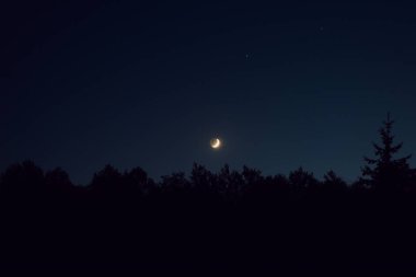 Orman manzarasının üzerindeki ay tamamen karanlıkta.