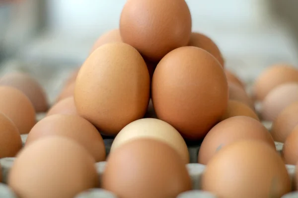 brown chicken eggs in a package with a blurry background