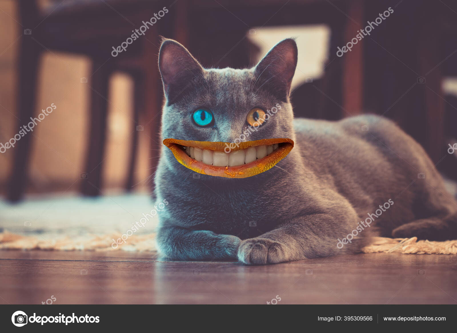 Visage Chat Avec Des Traits Visage Humain Une Autre Photo Image Libre De Droit Par Antisakrum C Visage Chat Avec Des Traits Visage Humain Une Autre Photo Image Libre De Droit Par Antisakrum C