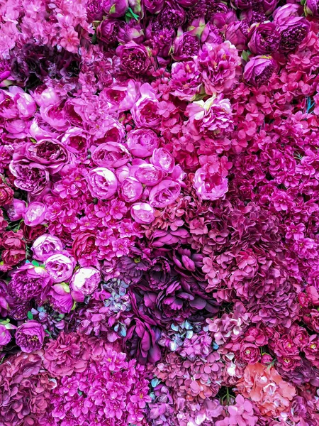 Muur Met Diverse Bloemen Rozen Anjers Hortensia Stockafbeelding