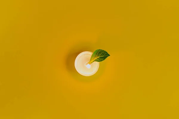 Горящая Свеча Зеленой Листочкой Цветном Фоне Элегантный Сдержанный Снимок — стоковое фото