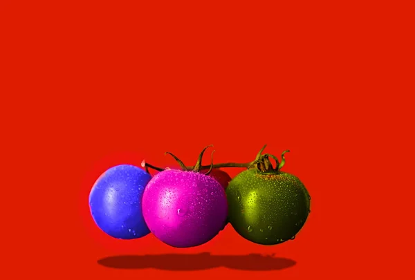 Gibt Drei Stängel Frischer Tomaten Der Rebe Vereinzelt Auf Rotem — Stockfoto