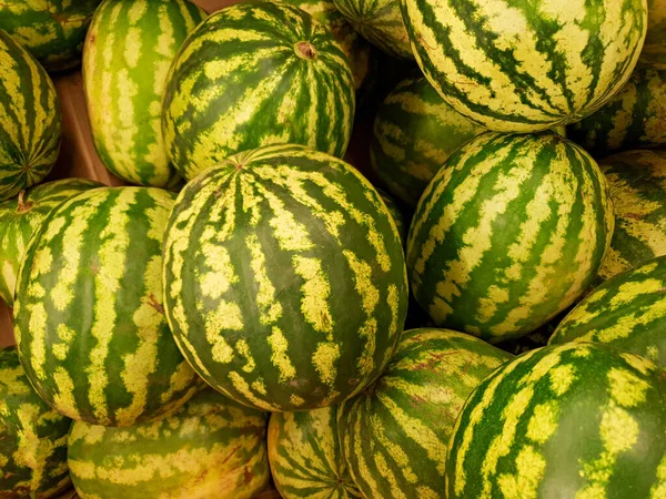 Draufsicht Mit Vielen Verschiedenen Frischen Melonenwassermelonen — Stockfoto