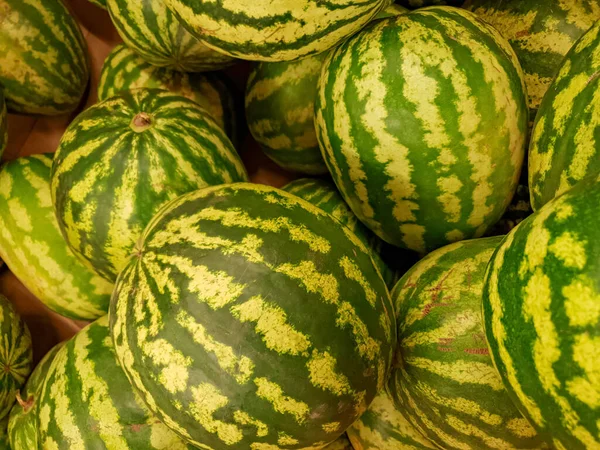 Draufsicht Mit Vielen Verschiedenen Frischen Melonenwassermelonen — Stockfoto