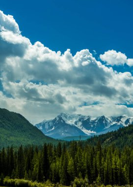 Yeşil ağaçlarla kaplı dağların manzarası. Ufukta karla kaplı dağlar var..