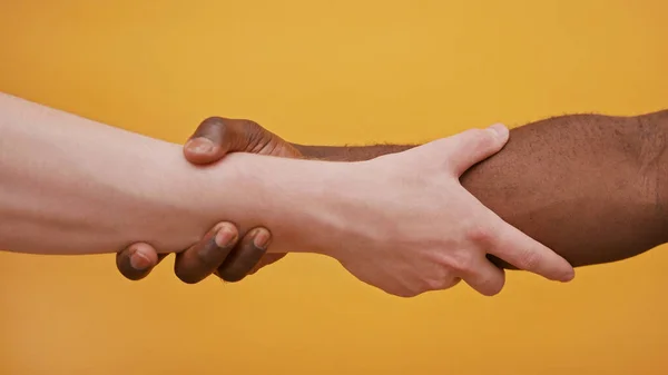 Cierre de un apretón de manos. Mano blanca y negra, concepto de amistad y cooperación interracial — Foto de Stock