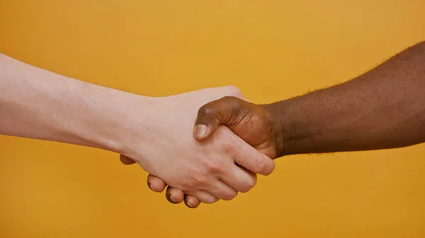 Cierre de un apretón de manos. Mano blanca y negra, concepto de amistad y cooperación interracial — Foto de Stock