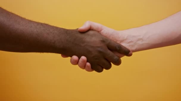 Zblízka potřesení rukou. Black and white hand, interracial přátelství a spolupráce koncept — Stock video