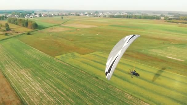Flygfoto ovanifrån av en paramotor glider genom luften över gröna fält — Stockvideo