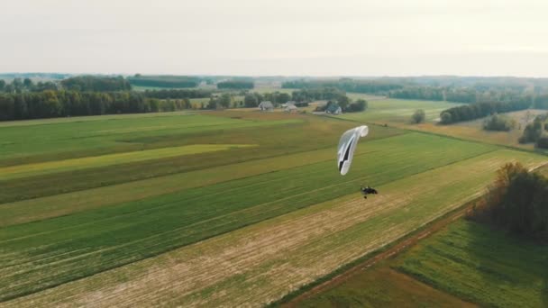 Aerial Of Paraglider Paragliding Over Green Fields Sunrise — Stock Video