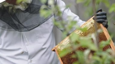 Arıcı elinde arılar olan bir bal çerçevesi tutuyor. Yavaş çekim