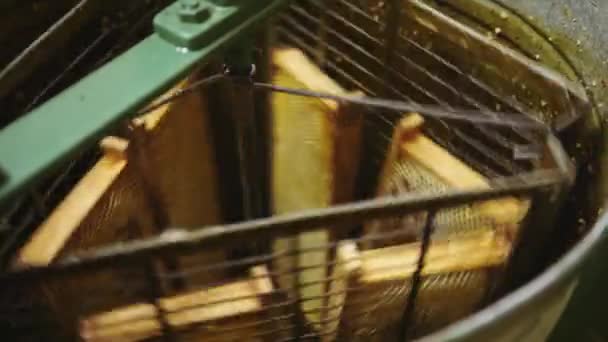 Honig extrahiert Wirbel. Nahaufnahme — Stockvideo