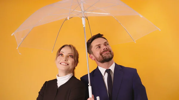 Man and woman business people coworkers sheltering under transparent umbrella — Stock Photo, Image