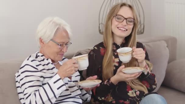 Urlaub mit der Familie. Mutter und Tochter oder Oma und Enkelin beim gemeinsamen Tee — Stockvideo
