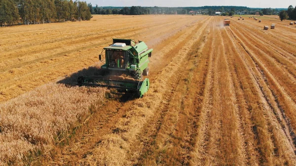 Grande mietitrebbia taglio grano sul campo. Macchine agricole che raccolgono cereali maturi sul campo d'oro. Aerea — Foto Stock