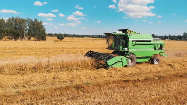 Современный комбайн на поле во время уборки пшеницы — стоковое фото