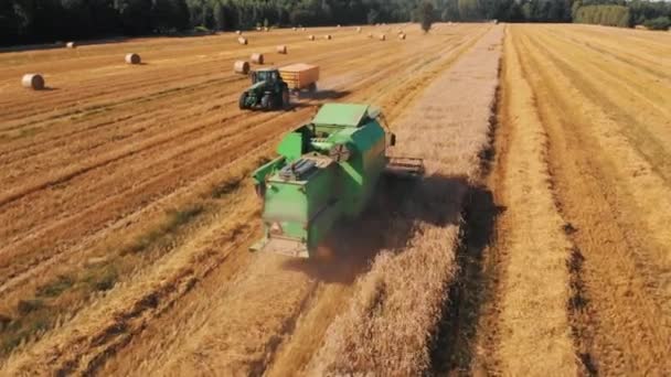 Warschau, Polen 08.10.2020 - Aerial, combineer oogstmachine en tactor met parcours op het tarweveld — Stockvideo