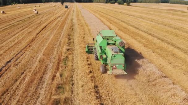 Varsavia, Polonia 08.10.2020 - Antenna, vista posteriore della mietitrebbia che lavora sul campo di grano — Video Stock