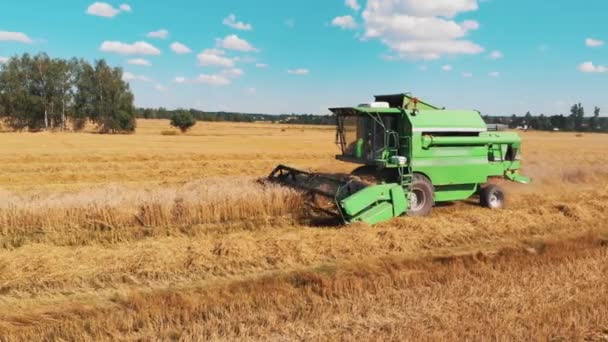 Varşova, Polonya 10.08.2020 Yazın buğday hasadı. Hasat makinesini tarlada yetişmiş altın buğday toplamak için birleştirin. — Stok video