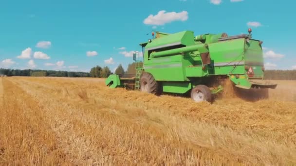 Varşova, Polonya 10.08.2020 Yazın buğday hasadı. Atışı izle — Stok video