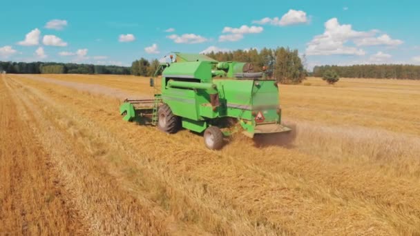 Warschau, Polen 10.08.2020 Combineer het oogsten van tarwe in de zomer — Stockvideo