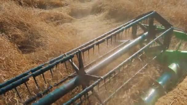 Close up of modern combine Harvest Thrasher at work. Overhead — Stock Video