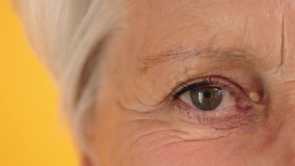 Макро-снимок зеленого глаза пожилой женщины. Мерцающие и улыбающиеся — стоковое видео