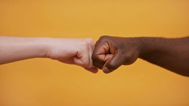 Yumruk Yumruğa - Siyah ve Beyaz Eller - Ortaklık ve Dayanışma Konsepti