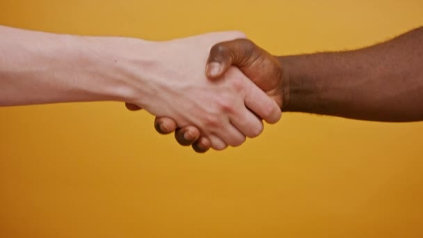 Egy kézfogás közelsége. Fekete-fehér kéz, fajok közötti barátság és együttműködés koncepciója — Stock videók