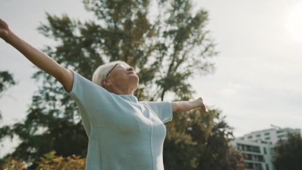 Mujer pensionista estirándose en el parque en otoño. Movimiento lento — Vídeo de stock