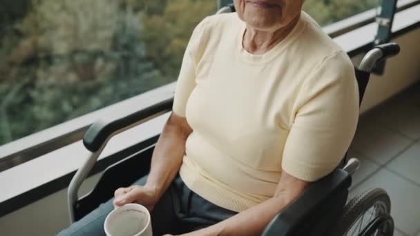 Portrait de femme âgée aux cheveux gris avec des lunettes et une tasse de café dans le fauteuil roulant devant la fenêtre — Video