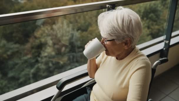 Portrait de femme âgée aux cheveux gris avec des lunettes boire une tasse de café dans le fauteuil roulant devant la fenêtre — Video