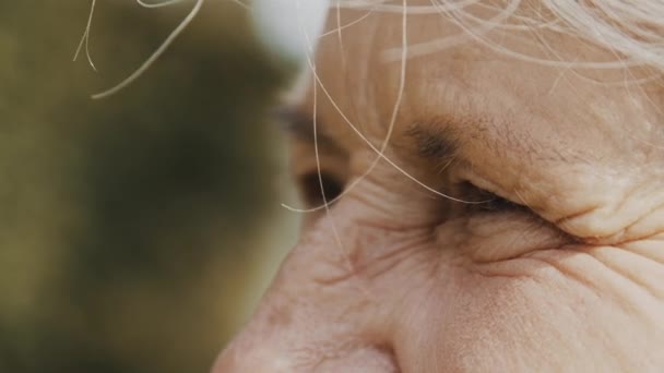 Großaufnahme, Augen einer älteren Frau im Park. Blick in den Himmel — Stockvideo