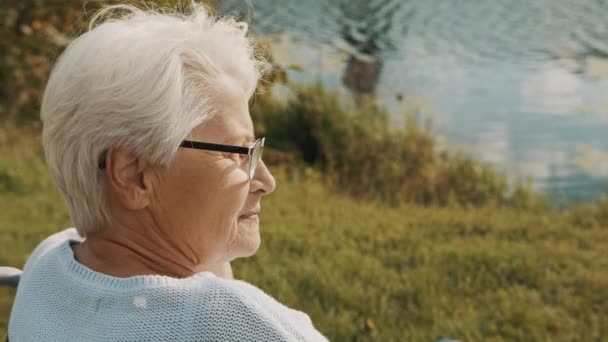 Nahaufnahme, ältere grauhaarige Frau im Rollstuhl genießt die Herbstbrise in der Nähe des Flusses — Stockvideo