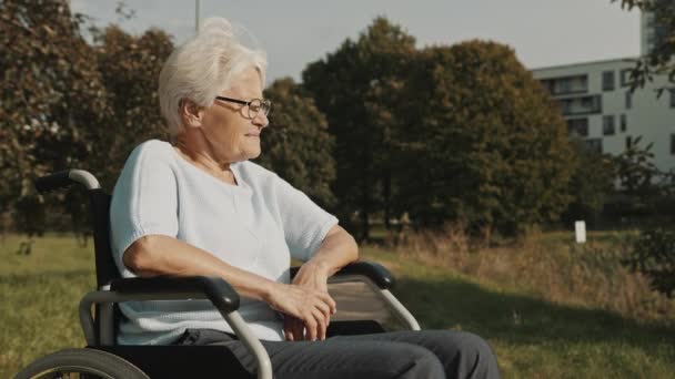 Pensieve oudere gehandicapte vrouw zittend in de rolstoel in het park genietend van de herfstwind — Stockvideo