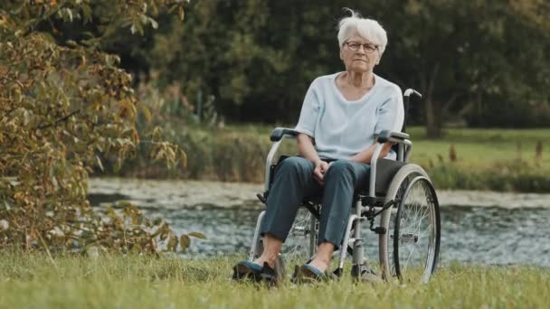 Pensionele oudere gehandicapte vrouw in de rolstoel bij de rivier — Stockvideo