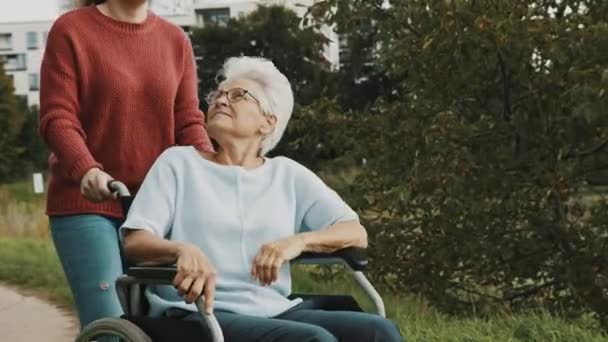 성인 손녀가 공원에서 휠체어를 타고 앉아 있는 할머니를 도와 주는 모습 — 비디오