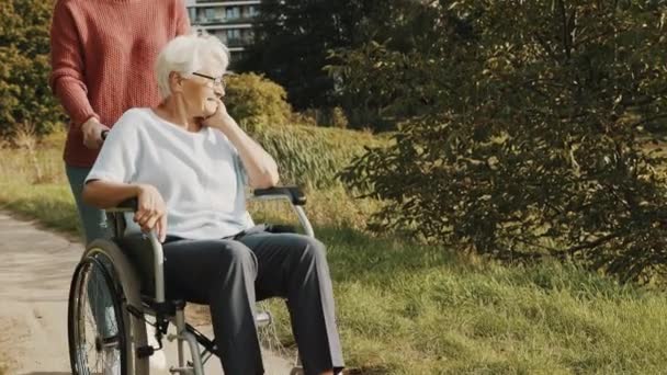 Jovem cuidadora empurrando e senhora idosa na cadeira de rodas no parque — Vídeo de Stock