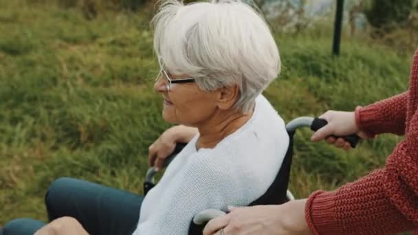 Mère âgée en fauteuil roulant avec fille dans la nature d'automne. Marcher le long de la rivière — Video