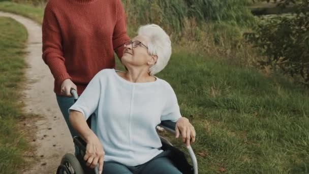 Молода жінка доглядач штовхає і стара леді в інвалідному візку в парку — стокове відео