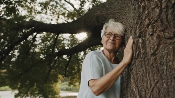 Oudere vrouw, weer contact met de natuur. een oude boom knuffelen — Stockvideo