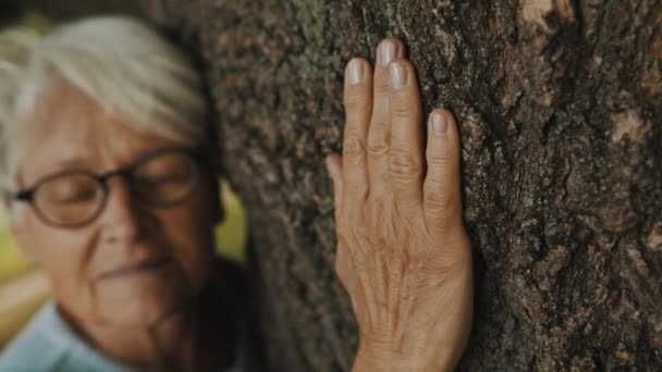 Oude vrouw die een oude boom omarmt. Close-up op de hand — Stockvideo