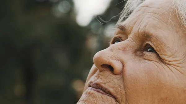Oczy starszej kobiety w parku. patrząc w niebo. Ekstremalne zbliżenie — Zdjęcie stockowe