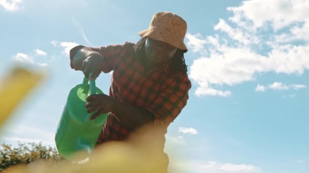 Feliz fazendeiro africano bonito regando as plantas. Movimento lento ângulo baixo — Vídeo de Stock