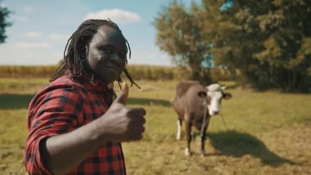 Agricultor africano com polegares para cima no campo da fazenda com vaca no fundo — Vídeo de Stock