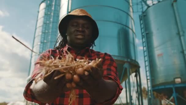 African man farmer holding hay in his hands in front of silo system — Stock Video