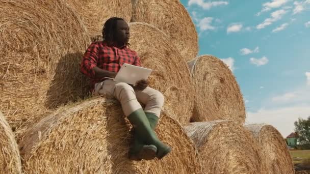 Agriculteur noir africain assis sur la meule de foin et de travailler sur l'ordinateur portable. — Video