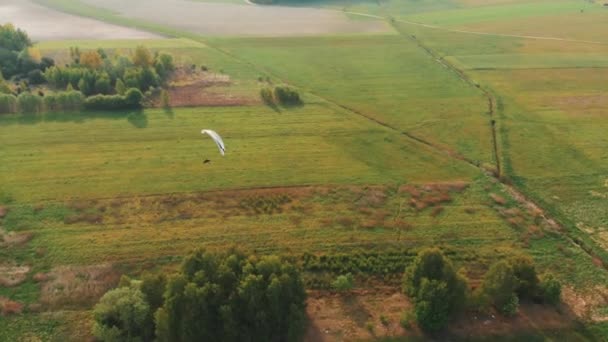 Vista aérea de un paramotor deslizándose por el aire sobre campos verdes — Vídeos de Stock